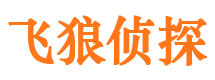 乌伊岭外遇调查取证